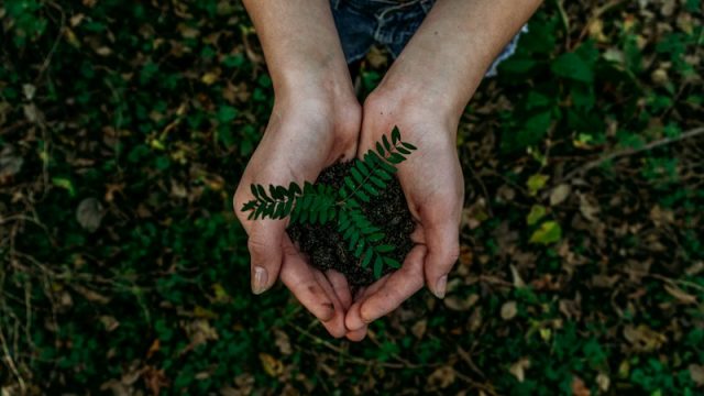 Addetto alle informazioni ambientali e sostenibilità