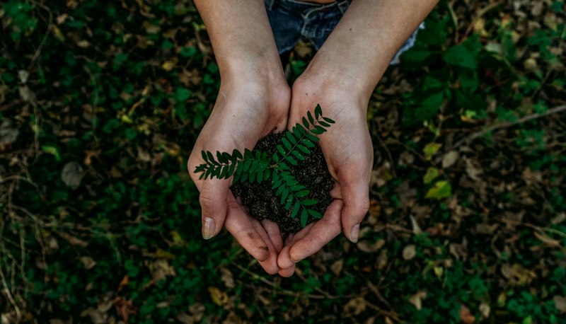 Addetto alle informazioni ambientali e sostenibilità